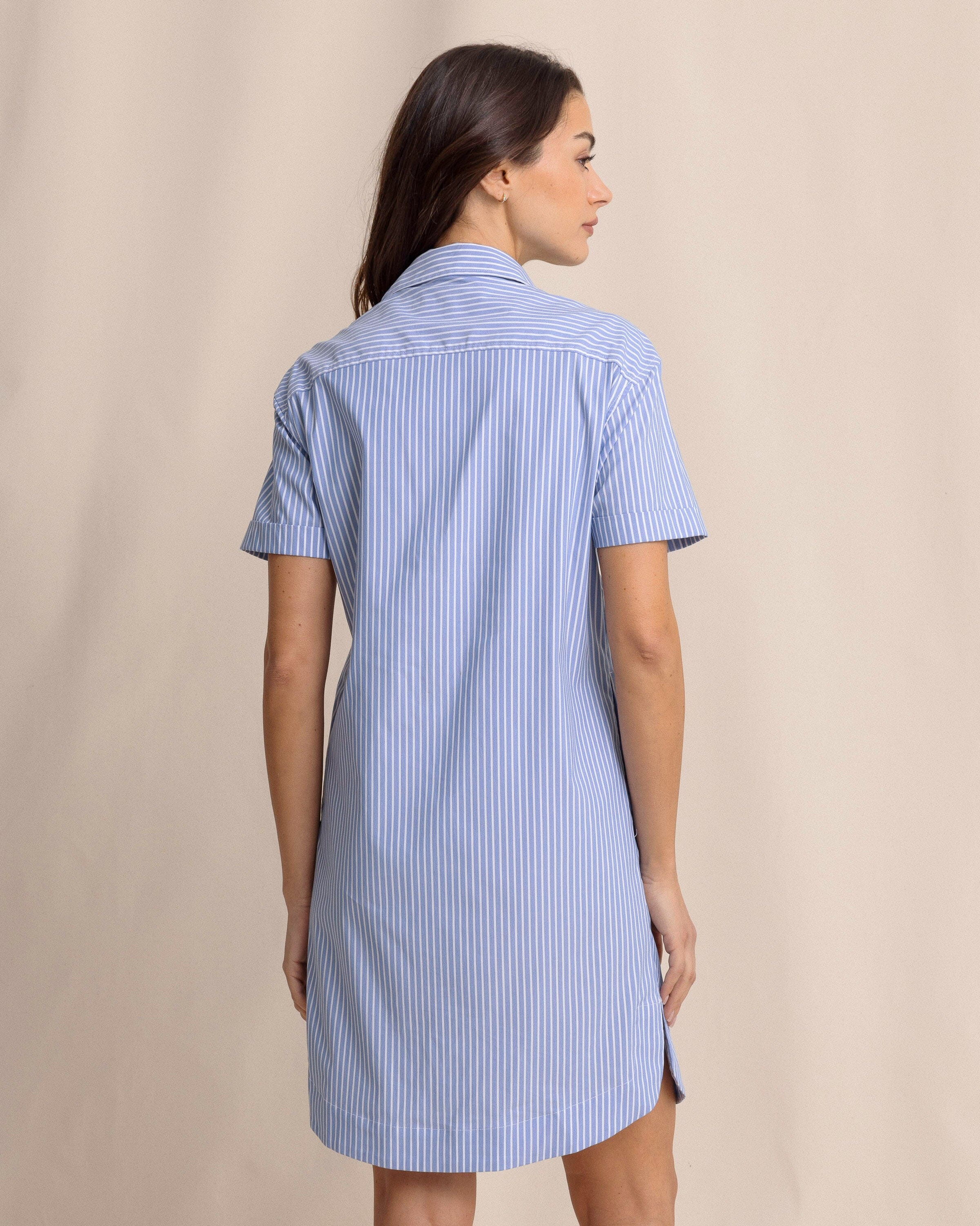 Cam brrr°® Stripe Dress - Image 8