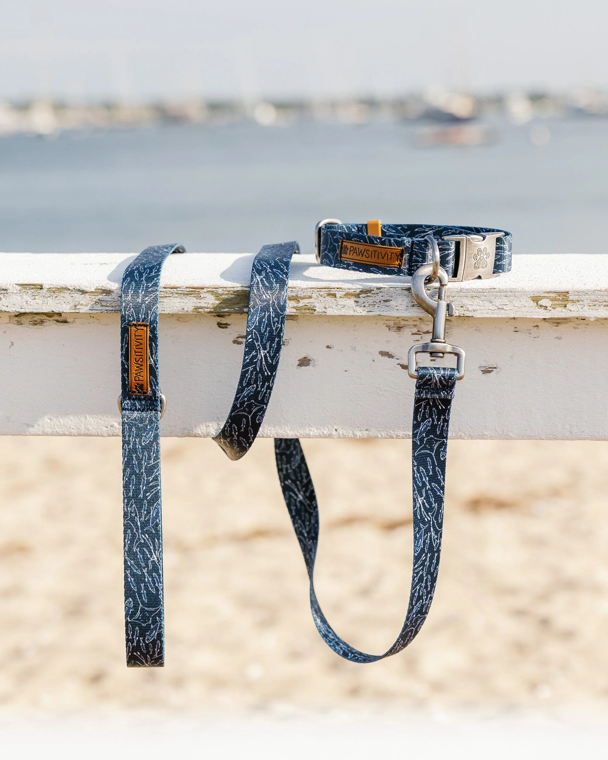 ST x Pawsitivity Schooling Fish Dog Collar - Image 3