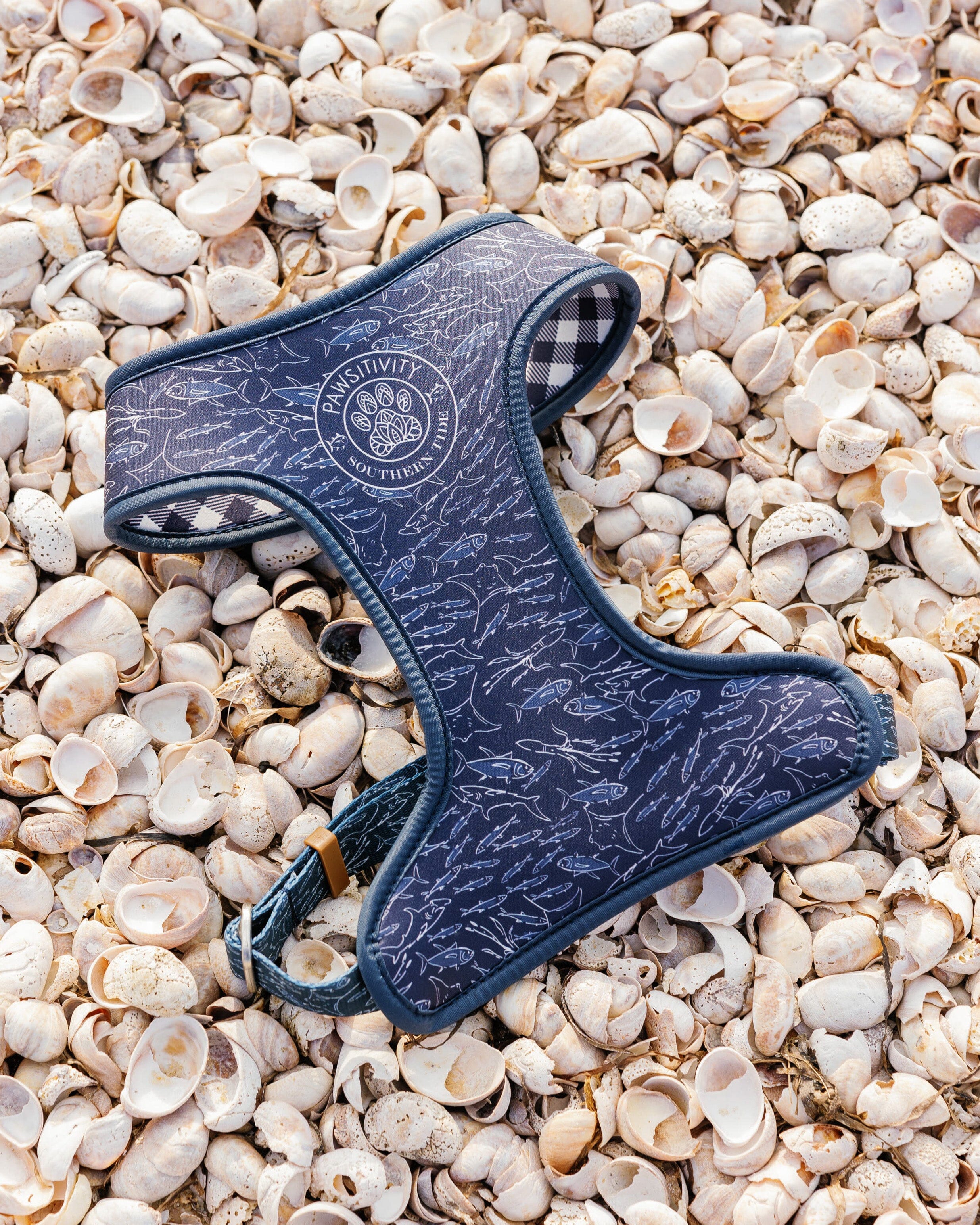 ST x Pawsitivity Schooling Fish Dog Harness - Image 4